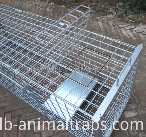 Liebang Humane Hunting Live Animal Cage Traps لحيوانات الآفات الكبيرة مكافحة الحيوانات الثعلب الفق